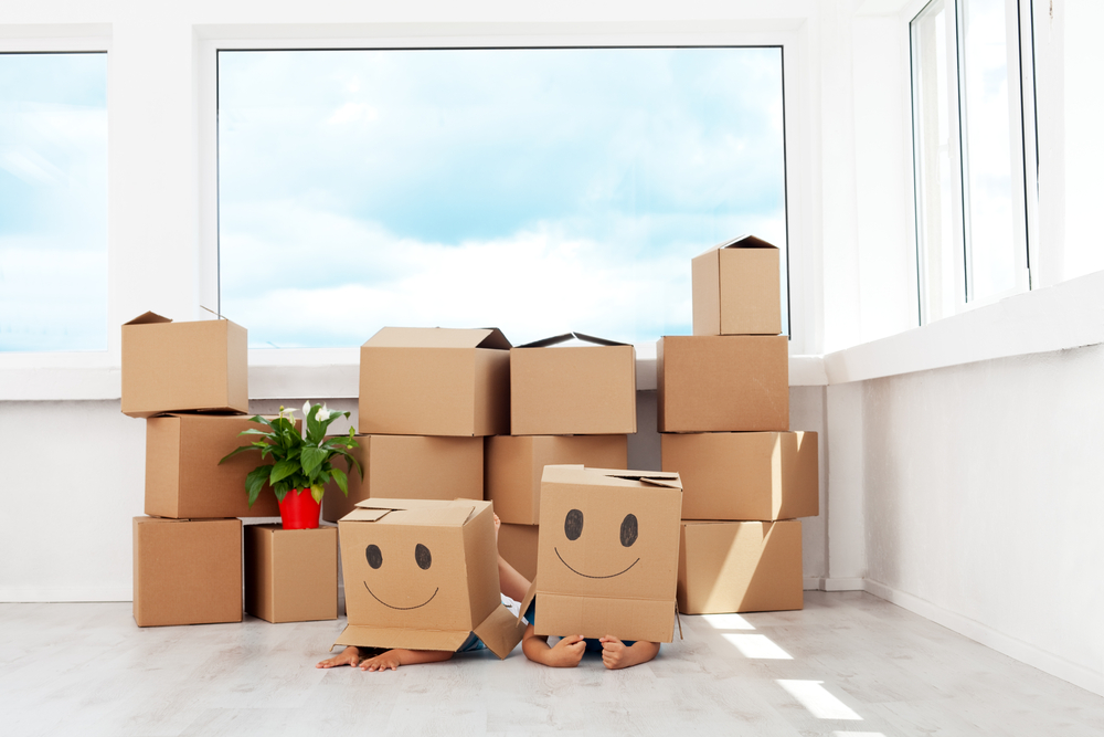 house removals box removals company